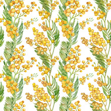 Seamless Spring Pattern With Sprig Of Mimosa. Watercolor Yellow Floral Background.