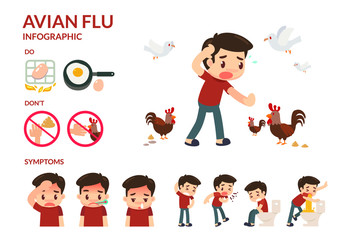 Avian flu infographic. Sickness.