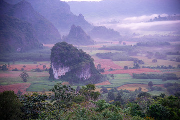 Morning at Phu Langka mountain National Park Payao Province thailand