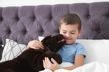 Wall Mural - Funny puppy and little boy in bed at home. Friendly dog