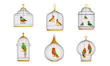 Colorful Parrots In Cages Collection, Cute Birds In Birdcages Vector Illustration On White Background