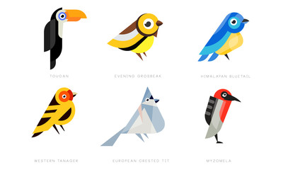 Sticker - Colorful Stylized Birds Collection, Toukan, Evening Grosbeak, Himalayan Bluetail, Western Tanager, European Crested Tit, Myzomela Vector Illustration on White Background