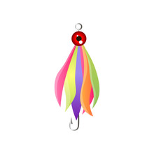 Fishing Bait With Colorful Feather And Red Fish Eye