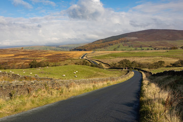 winding road in the Yorkshire Dales