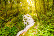 Beautiful Waterfall At Doi Inthanon National Park, Thailand. Magic Light And Sun Rays Through Trees In Tropical Rainforest. Soft Light, Green Colors And Tranquil Nature. Chiang Mai Province