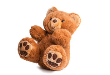 teddy bear soft toy isolated