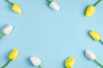 Canvas Print - Amazing spring tulip flowers on blue background, flat lay with copy space