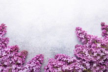 Branches Of Purple Lilac On Stone Background. Top View. Copy For Your Text