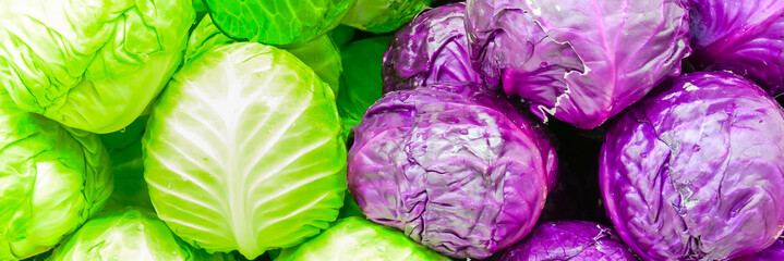 Panoramic assortment of organic red and green cabbage heads close-up at farmer market