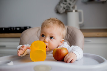 baby boy 7 months old sitting in a high chair in the kitchen and eating an Apple