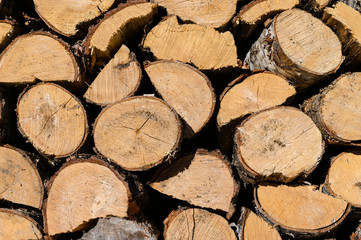 Canvas Print - Log firewood stacked on top of each other.