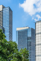 Wall Mural - green trees front of modern glass office building