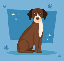 Brown Dog With White Spot In Background With Pawprints Vector Illustration Design