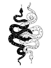 Occult Trendy Hand Drawn Illustration With Snake, Moon And Stars.
