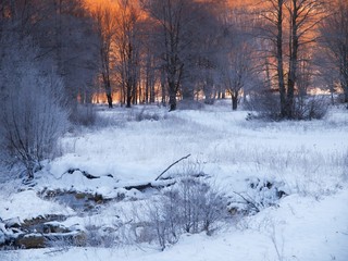 Wall Mural - snow