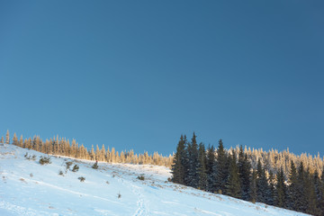 Wall Mural - charming snow-capped houses on a mountain carpathian mountain valley, with magnificent views of peak