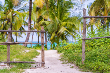 Wall Mural - Wooden fence, coconut palm trees and pathway on a tropical beach near the sea on the island of Zanzibar, Tanzania, Africa. Travel and vacation concept