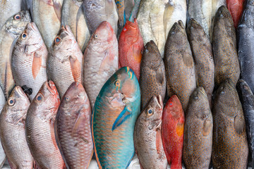 Wall Mural - Fresh sea fish for sell at the street food market in Kota Kinabalu, Borneo, Malaysia, close up seafood