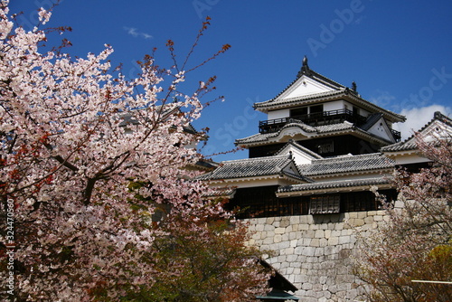 松山城と桜と青空 Stock Photo Adobe Stock 松山城と桜と青空 Stock Photo Adobe Stock