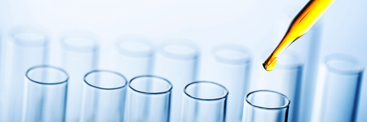 Wall Mural - dropping yellow chemical liquid or essential oil to test tube on white background, lab research and 