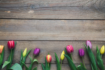 Wall Mural - Colorful Tulips On Wooden Planks