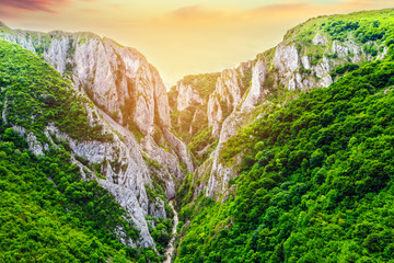 Wall Mural - Famous gorge near Turda, in Romania named Cheile Turzii. One of the most visited gorges by tourists in Transylvania. 