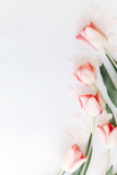 Fototapeta Tulipany - Pink tulips flat lay on white background with space for text. Spring flowers, stylish tender image. Hello spring. Greeting card floral border mockup. Happy Mothers day, vertical image