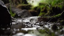 Water Drops Falling Into A Puddle Or Mud Amongst Mossy Rocks. Could Be At The Mouth Of A Cave.
