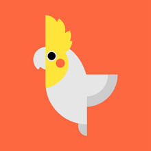 Cockatiel Parrot Vector. Cockatiel Bird Vector Icon In Flat Style