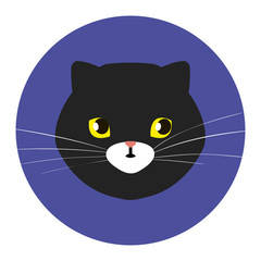 Poster - face of cat black in frame circular vector illustration design