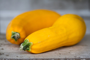 Closeup of two yellow ripe cucurbits