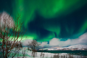 polar lights on kvaloeya island near tromsoe, northern norway, landscapephotography