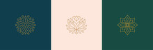 Vector Line Minimal Decoration Design Elements Set - Rose Flower And Botanical Leaves Illustrations Minimal Linear Style
