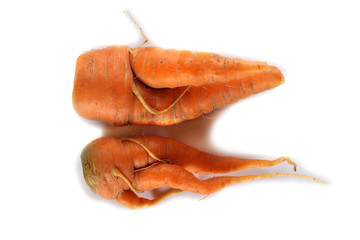 Canvas Print - Funny ugly carrots peple