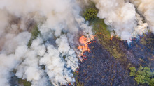 Aerial View   Fire In The Forest Burning Trees And Grass Natural Fires