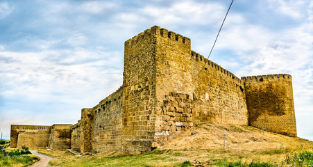 Poster - The citadel of Naryn-Kala in Derbent, Russia