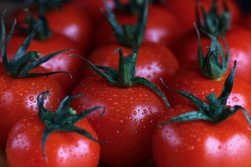 juicy tomatoes with the leaves in the water droplets