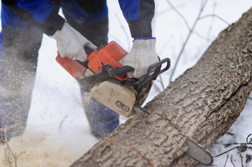 Close-up of woodcutter sawing chainsaw in motion, sawdust fly to sides.