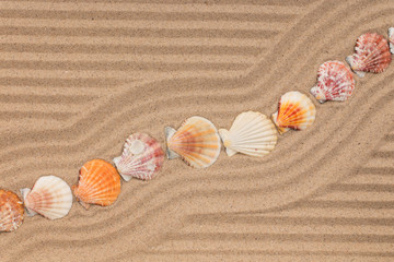 Wall Mural - Seashell lying on zigzag lines of sand. Copy space.