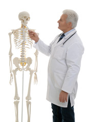 Sticker - Senior orthopedist with human skeleton model on white background