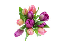 Pink And Purple Tulip Bouquet With Green Leaves Isolated On White Background, Top View