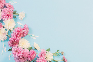 Poster - white and pink chrysanthemums on blue paper background