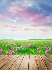 Wall Mural - Wooden table with flowers in meadow