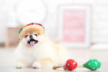 Pomeranian dog in straw hat with mexican maracas at home