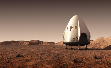 Wall Mural - descent module of commercial spacecraft on surface of planet mars