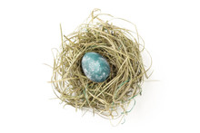 Painted Easter Egg In Hay Nest On White Background