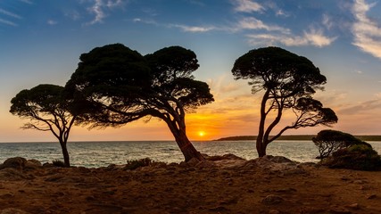 Wall Mural - Bunker Bay Western Australia at sunrise