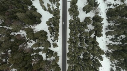 Wall Mural - Flight over the winter mountains with road serpentine and snowy forest. Top down view. UHD 4k drone video