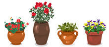 A Collection Of Flowers In Pots Isolated On A White Background. Vector Graphics