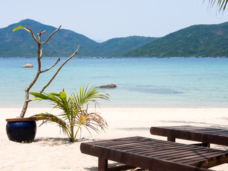 Wall Mural - Sunbeds on a white sandy beach with blue water - Whale Island, Vietnam